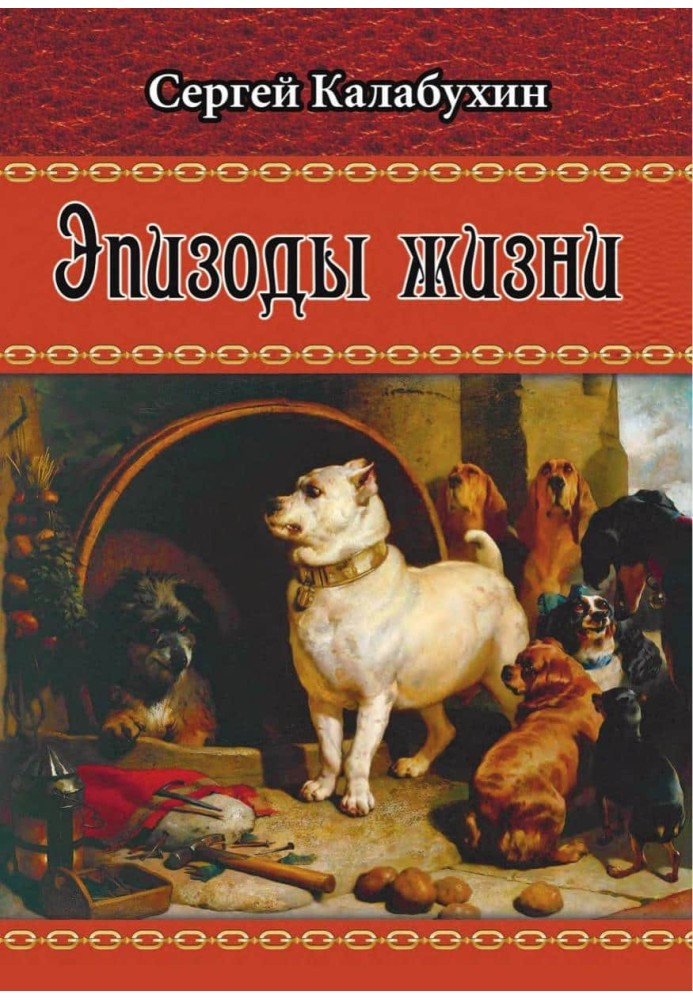 Book Episodes of life