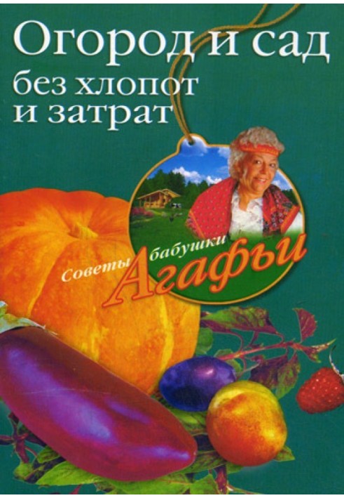 Book Vegetable garden without hassle or expense