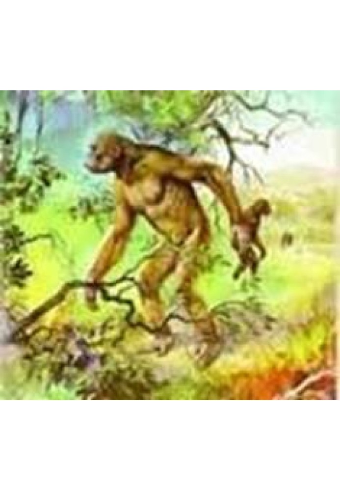 Book About the origin of man