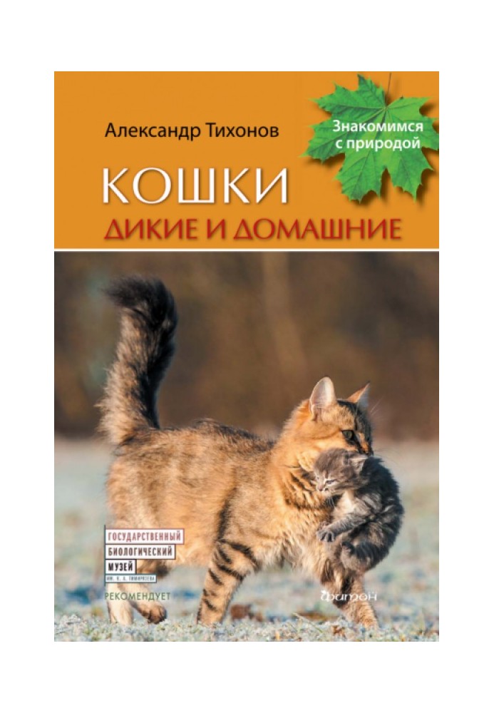 Book Wild and domestic cats