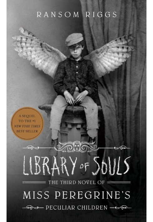 Book Library of Souls