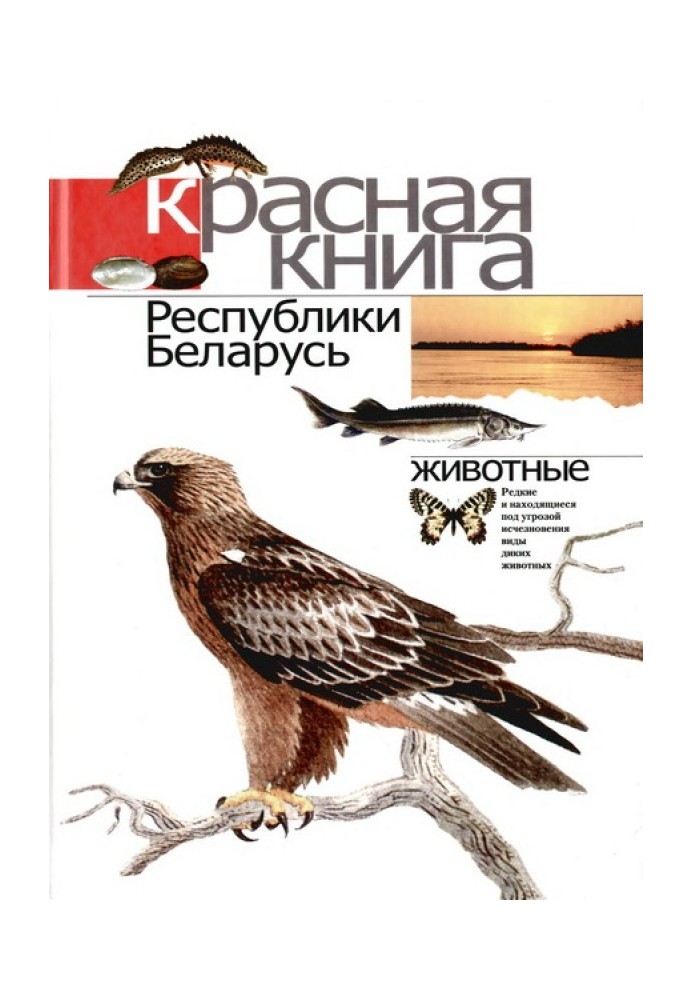 Book Red Book of the Republic of Belarus: Rare and endangered species of wild animals