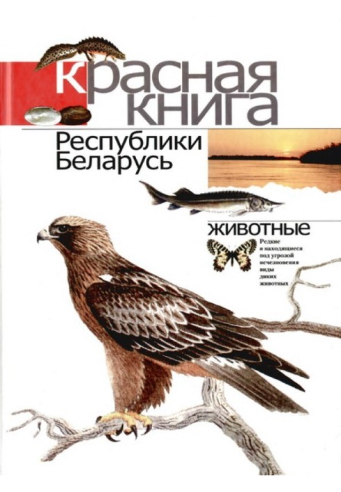 Book Red Book of the Republic of Belarus: Rare and endangered species of wild animals