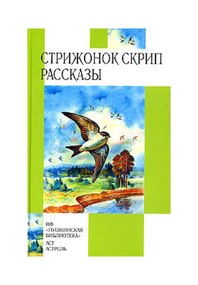 Книга Стрижонок Скрип