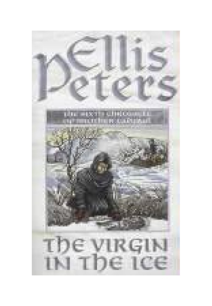 Book Virgin in the Ice