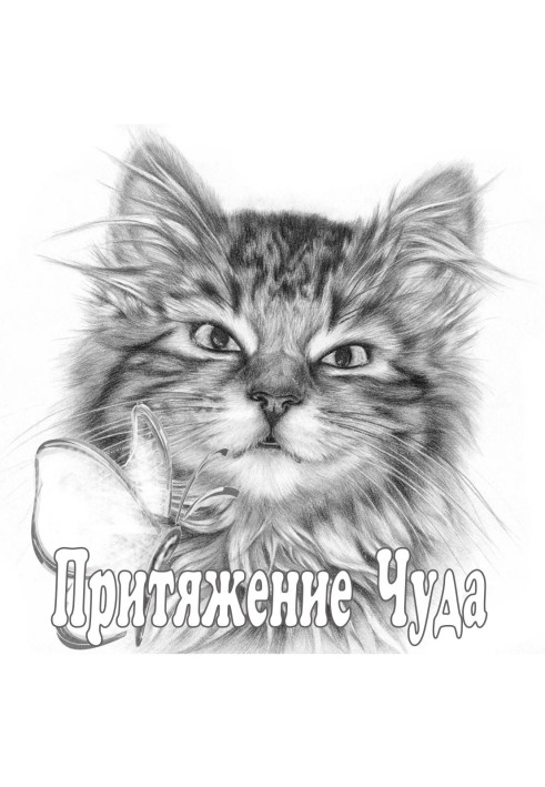 Книга Притяжение чуда