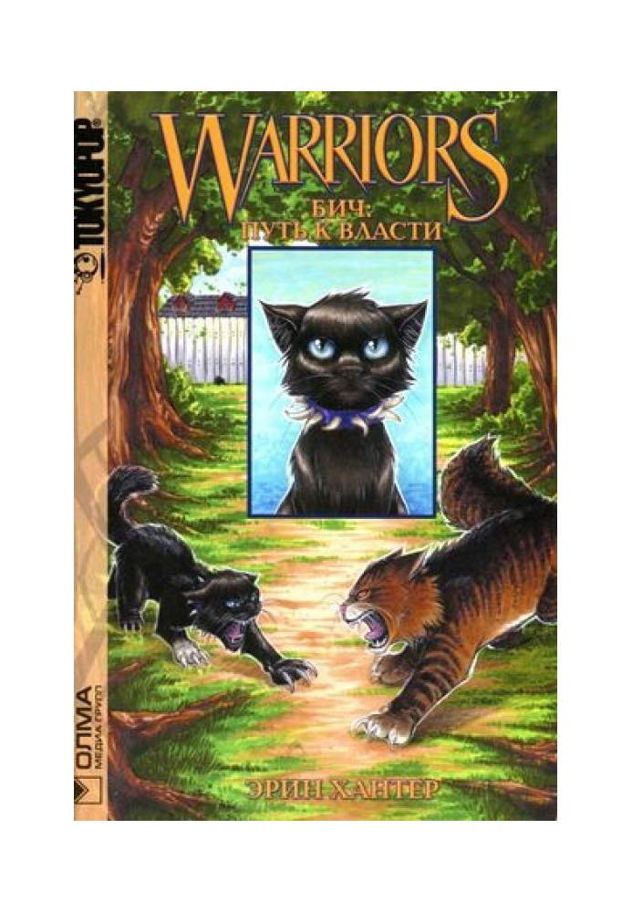 Book Scourge. Path to power