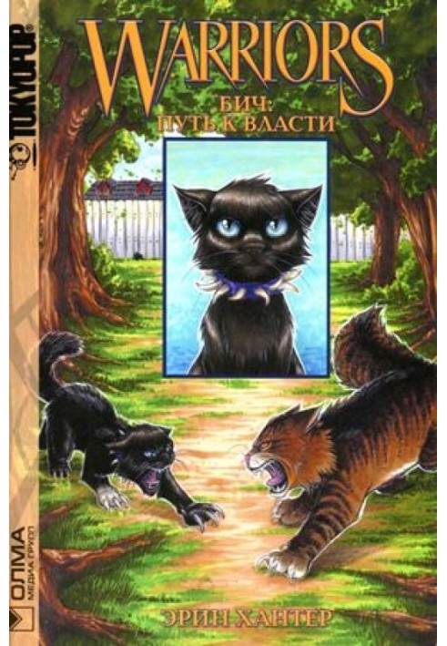 Book Scourge. Path to power
