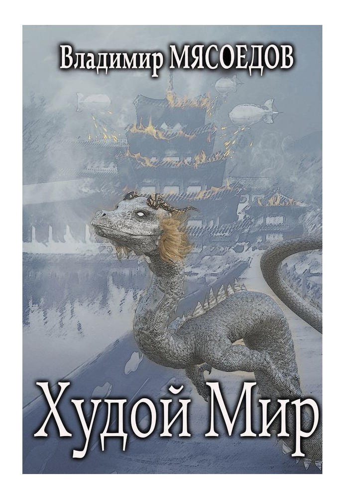Book Thin world