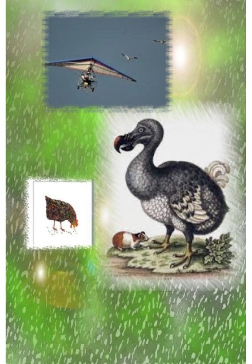 Book Drontism as the last stage of degradation of the personality of a political leader