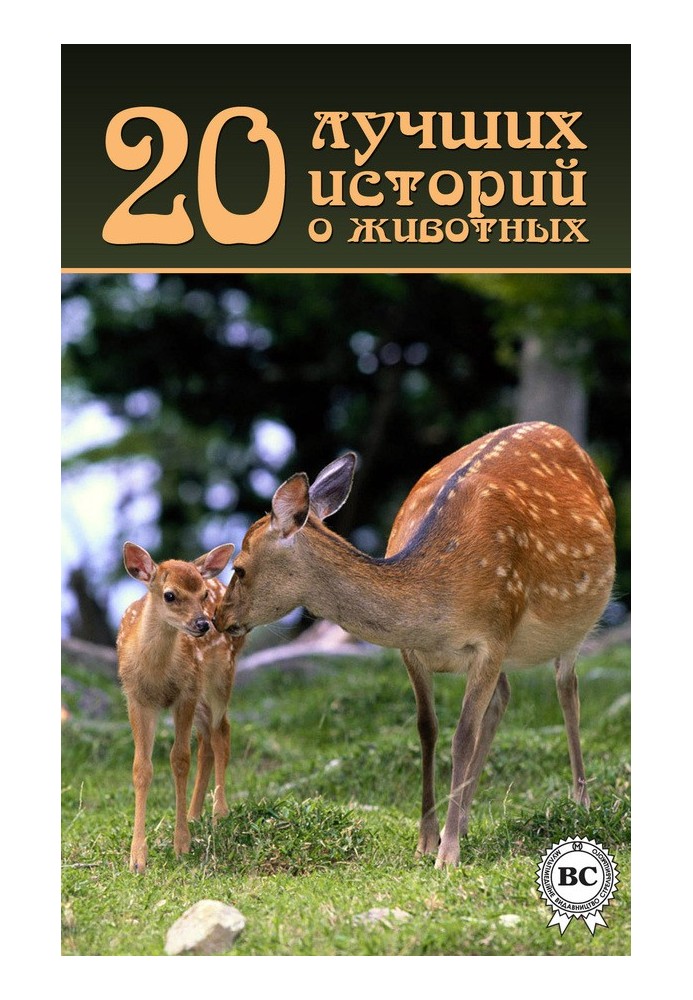 Book 20 best stories about animals