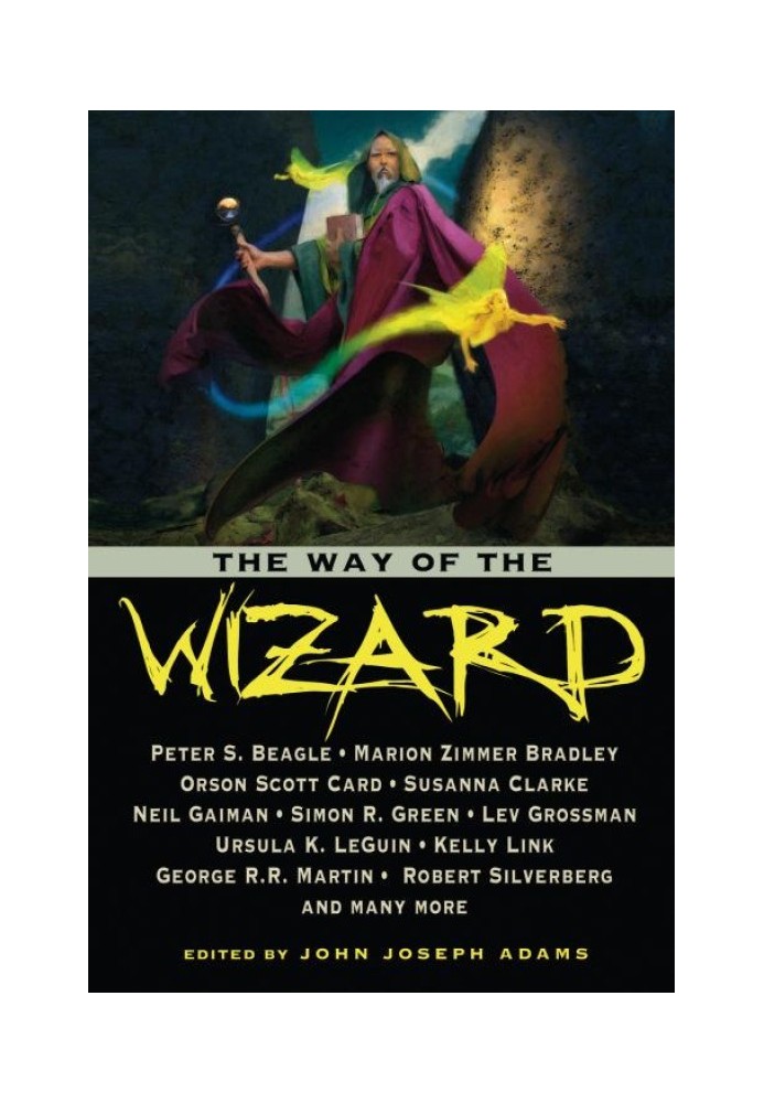 Book The Way of the Wizard