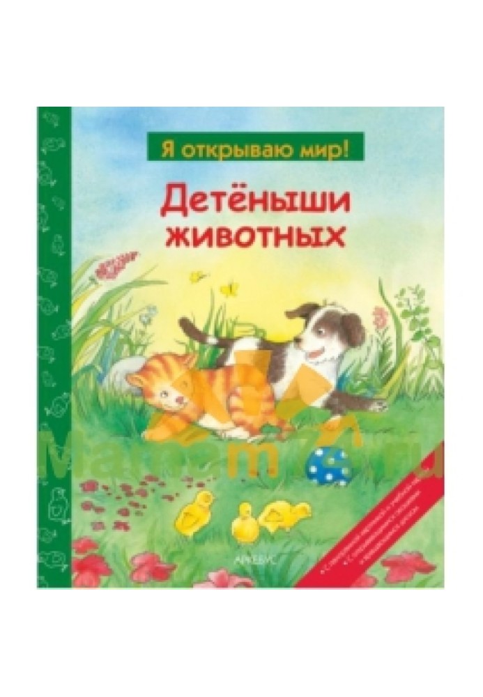 Book Baby Animals (I Discover the World)