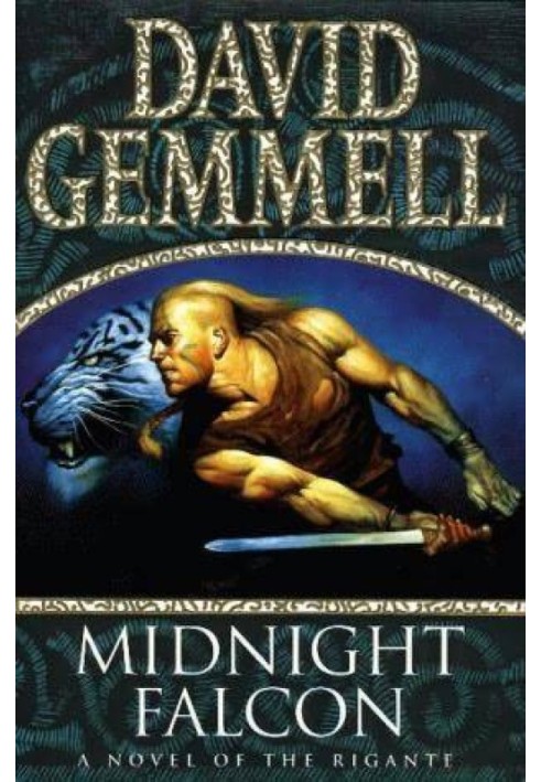 Book Midnight Falcon
