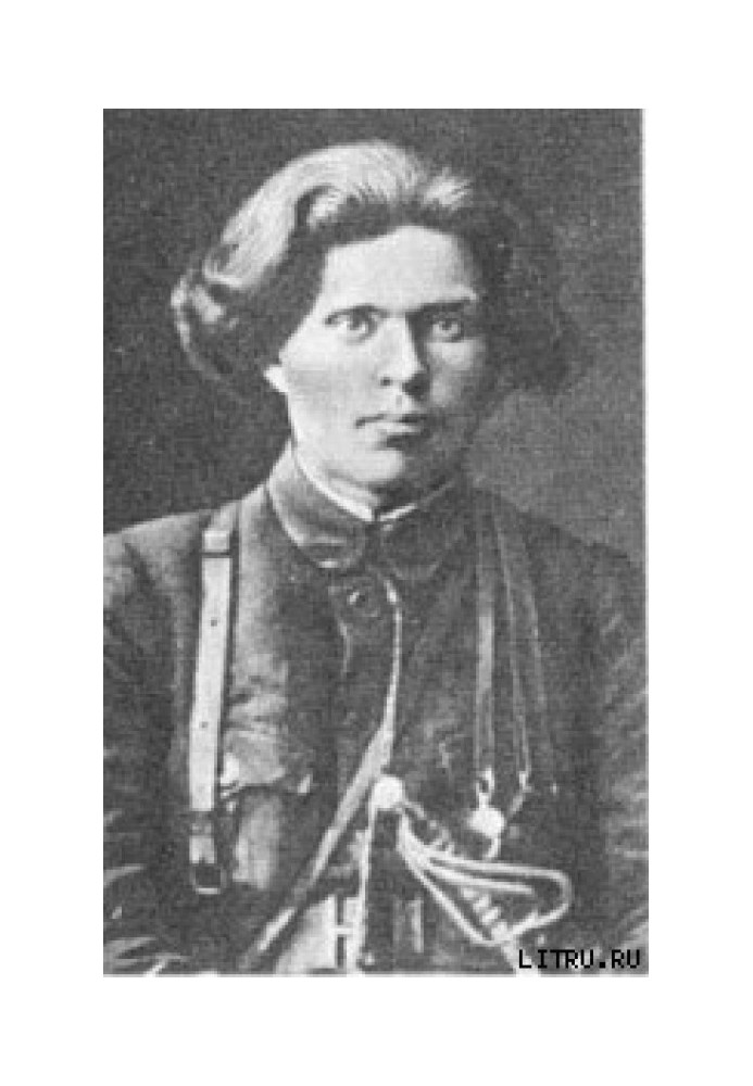 Book Father Makhno. Memoirs of a White Guard