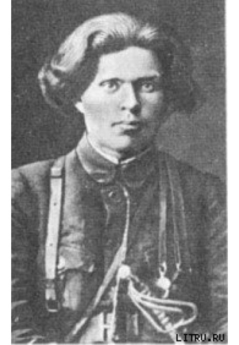 Book Father Makhno. Memoirs of a White Guard