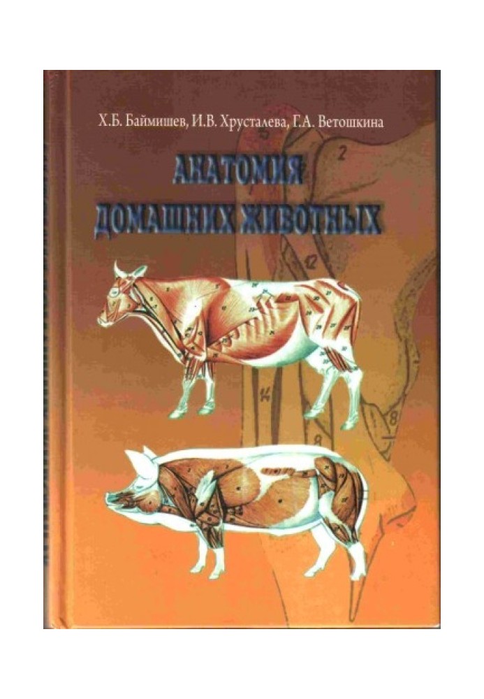Книга Анатомия домашних животных (остеология, синдесмология, миология)