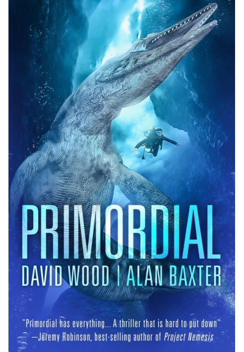 Book Primordial
