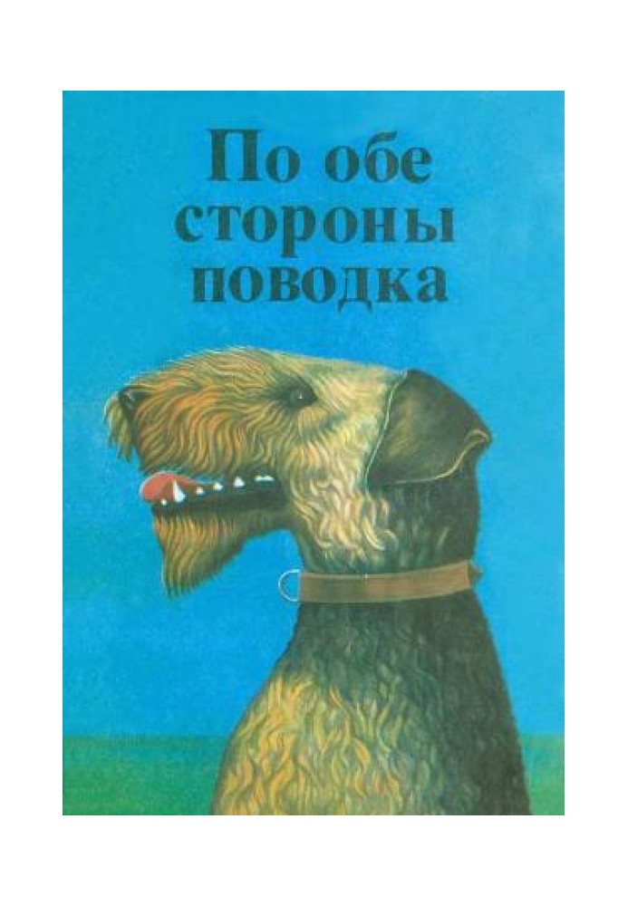 Книга Чинк