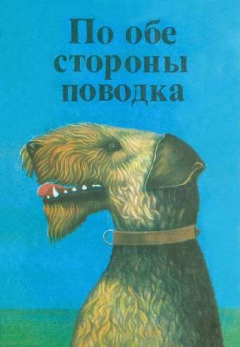Книга Чинк