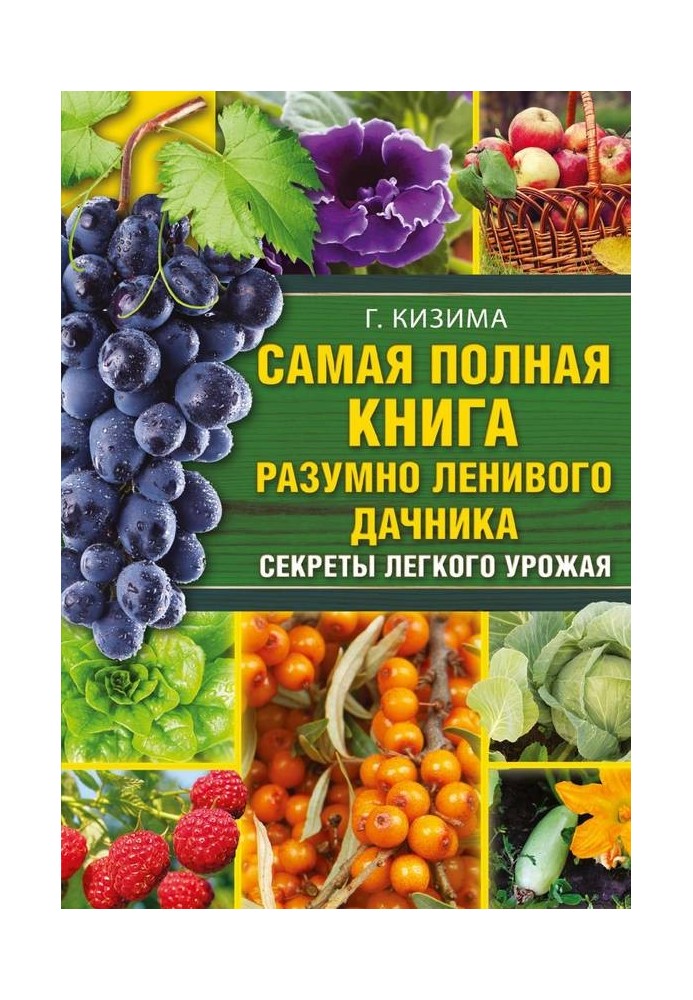 Book The most complete book of a reasonably lazy summer resident