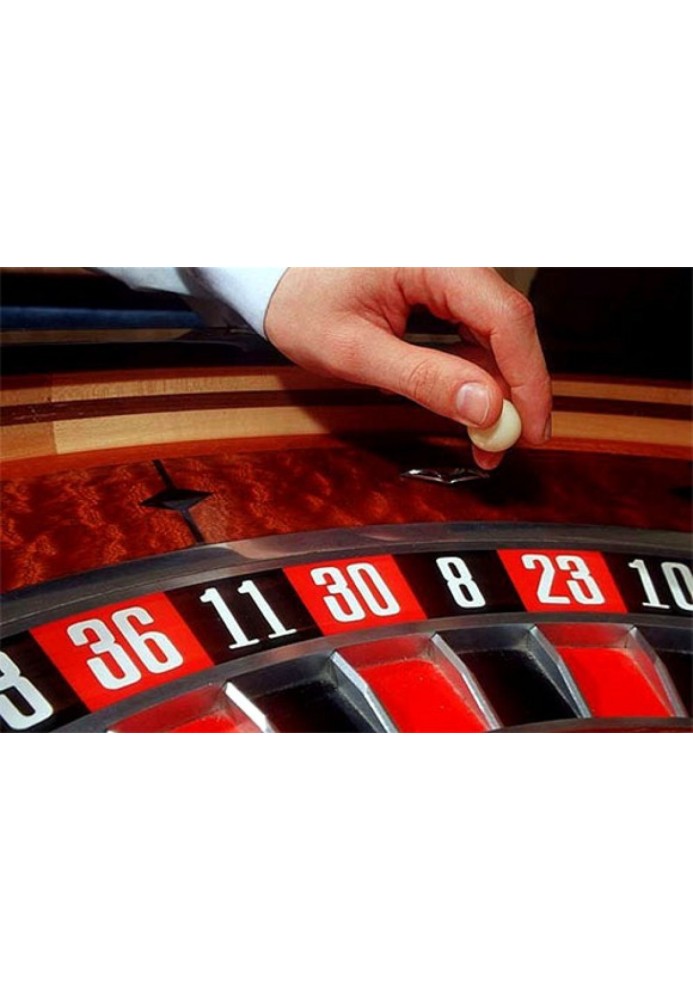 Book L'DORADO, a novel about a casino