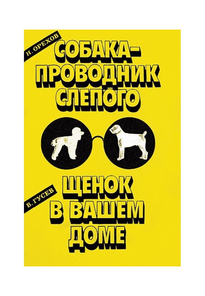 Book Puppy in your home