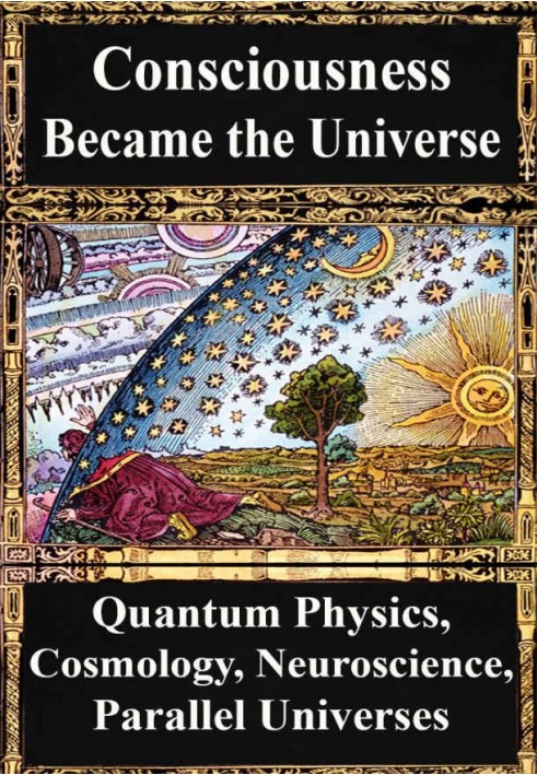 Book How Consciousness Became the Universe: Quantum Physics, Cosmology, Relativity, Evolution, Neuroscience, Parallel Universes