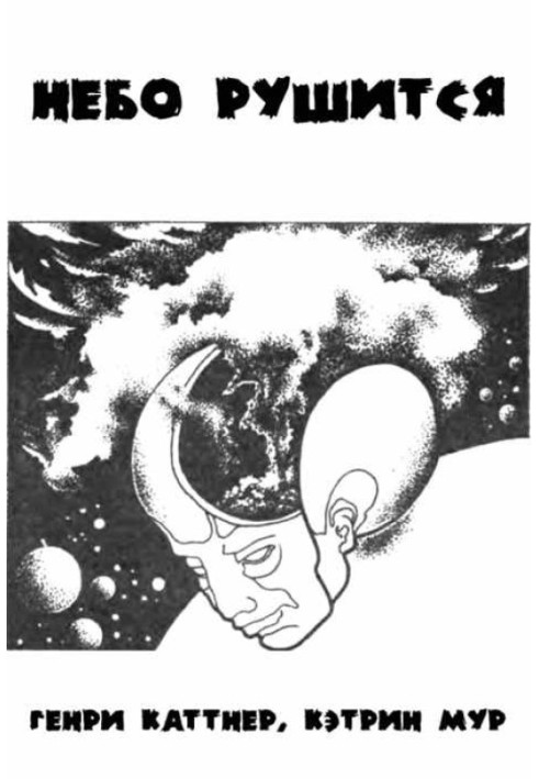 Book The sky is falling