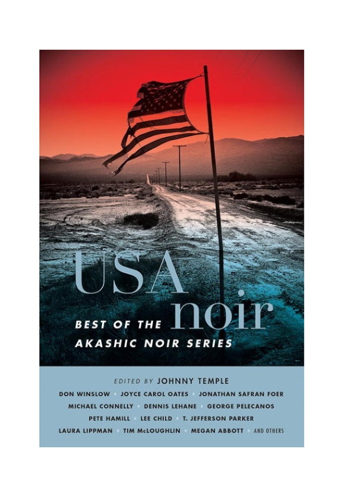 Книга USA Noir: лучшее из серии Akashic Noir