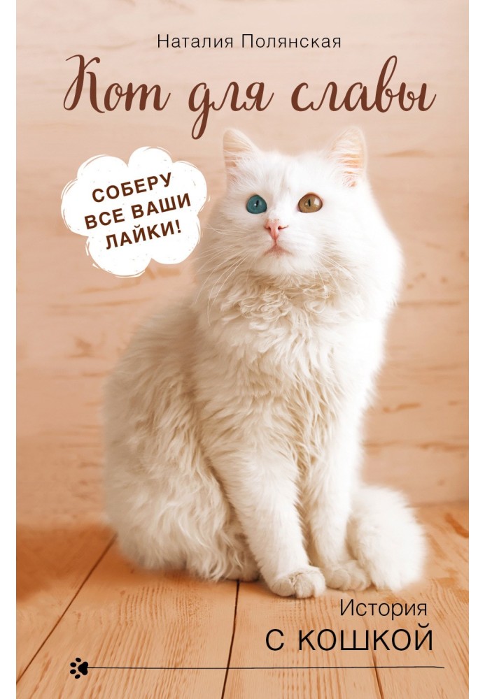 Book Cat for fame