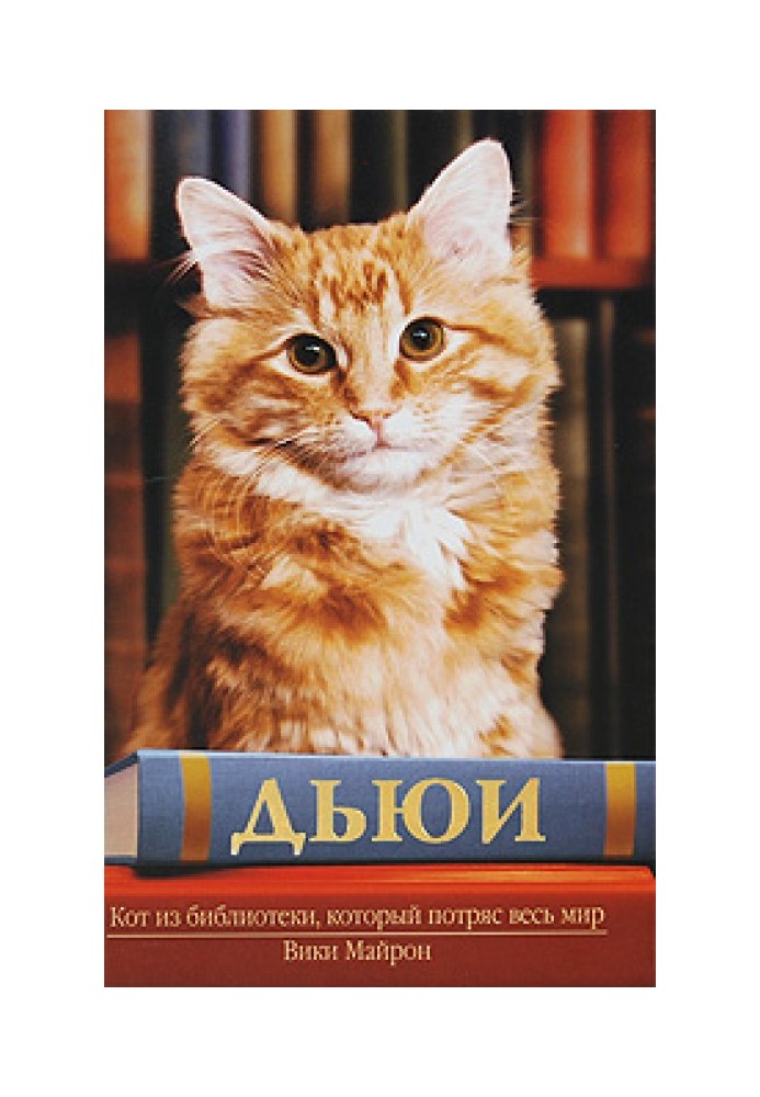 Book Dewey. The cat from the library that shocked the whole world