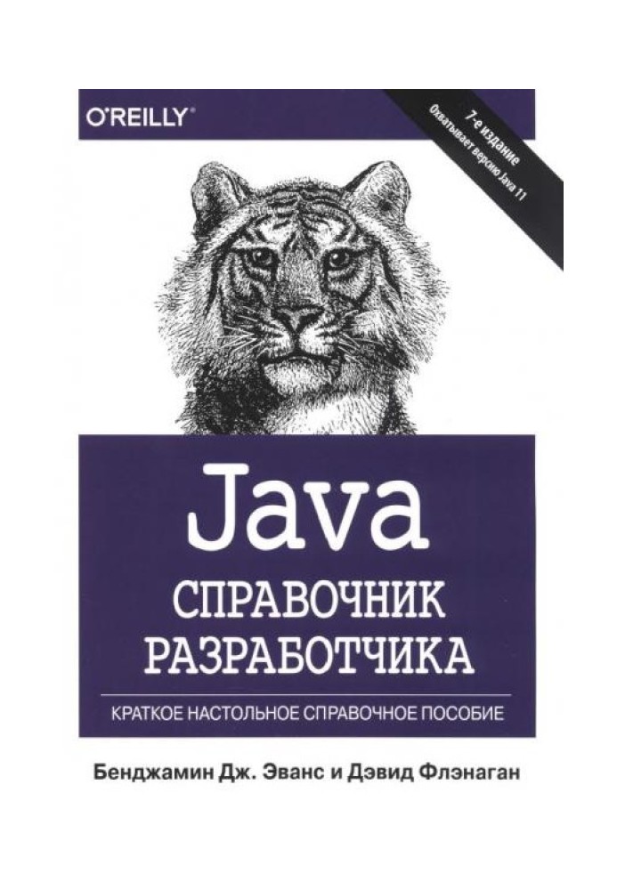 Book Java. Developer's Handbook,