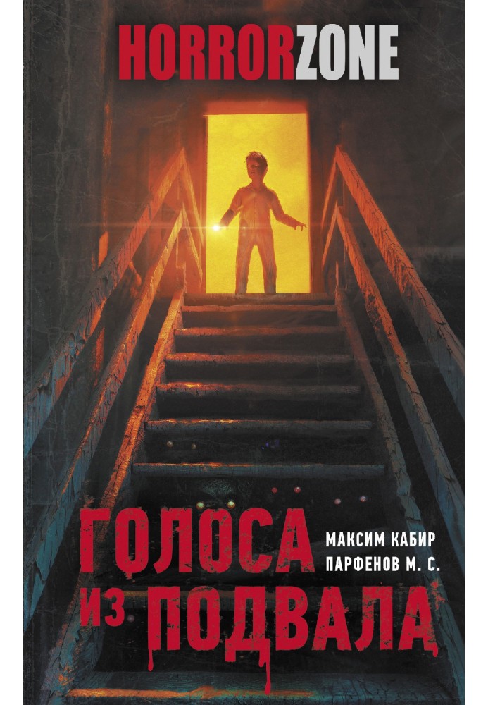 Book Voices from the Basement