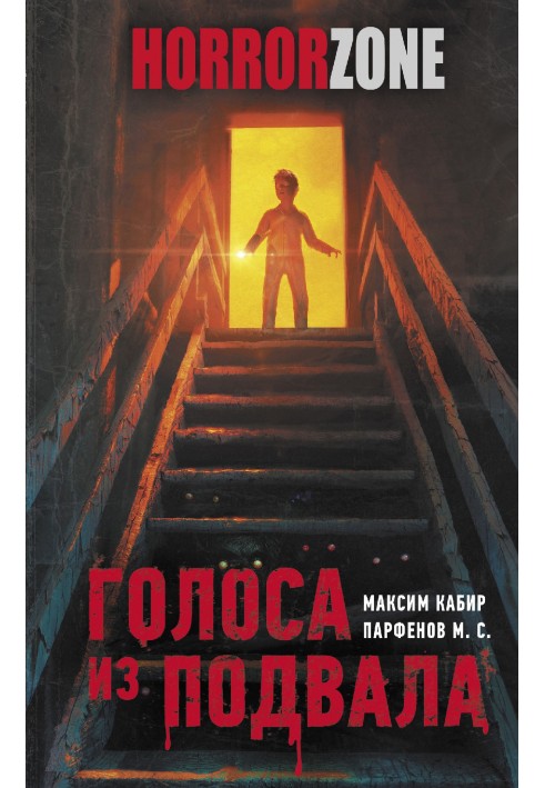 Book Voices from the Basement