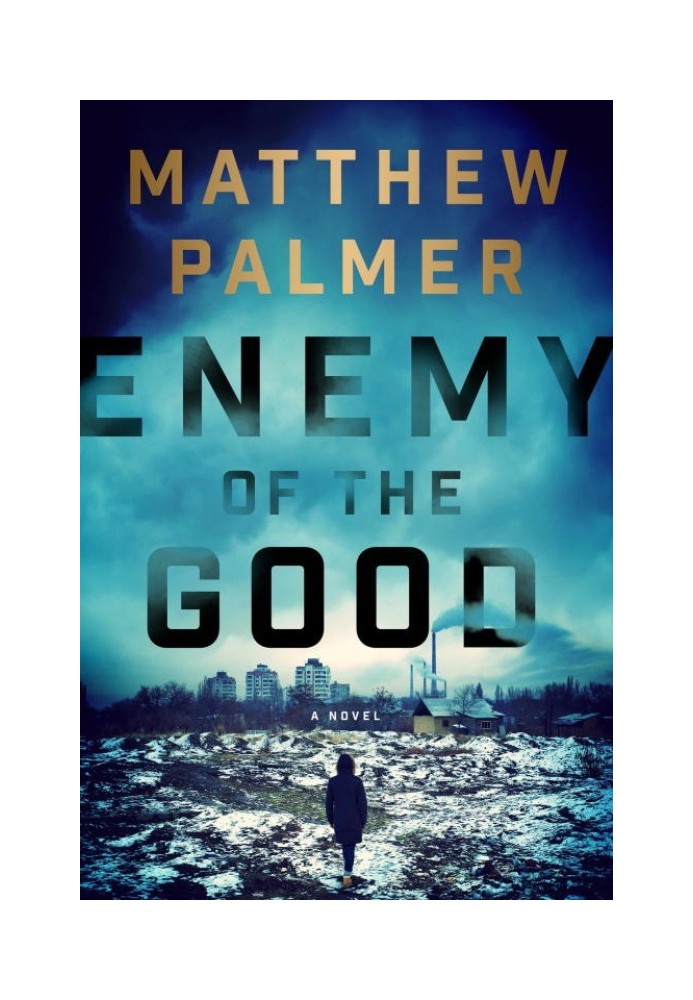 Book Enemy of the Good