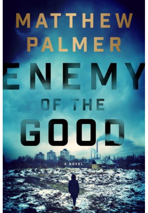 Book Enemy of the Good