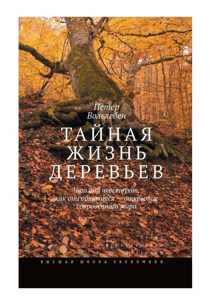 Книга Тайная жизнь деревьев. Что они чувствуют, как они общаются – открытие сокровенного мира