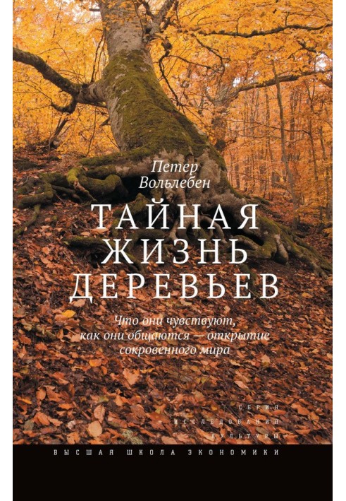 Книга Тайная жизнь деревьев. Что они чувствуют, как они общаются – открытие сокровенного мира