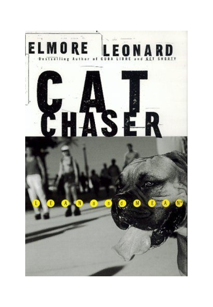 Book Cat Chaser