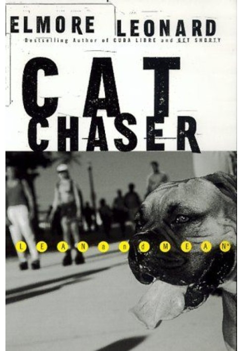 Book Cat Chaser