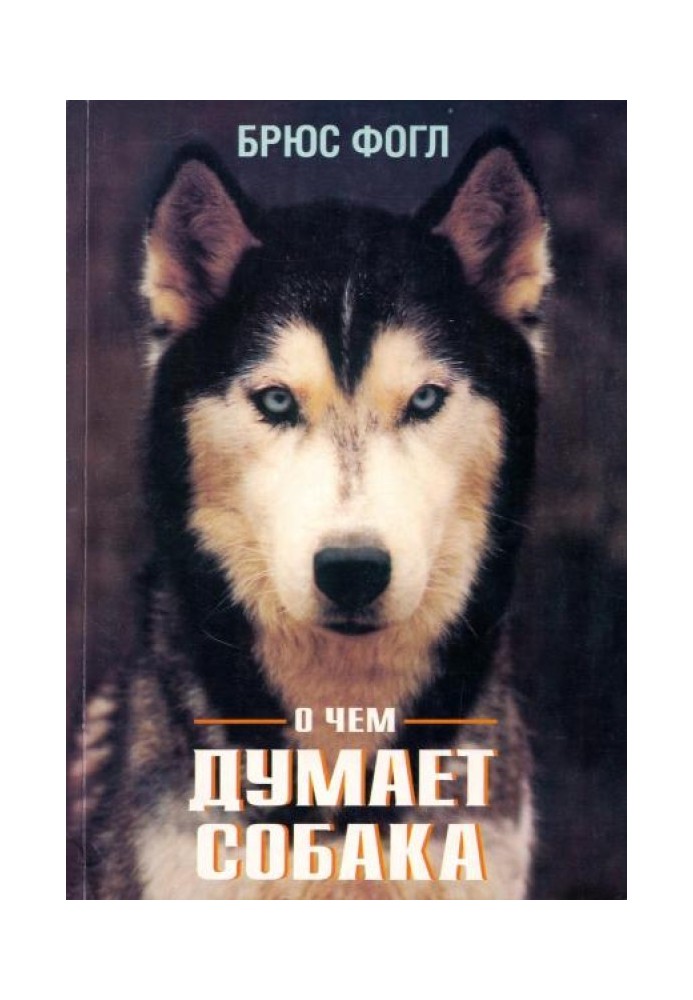 Book What is the dog thinking about?