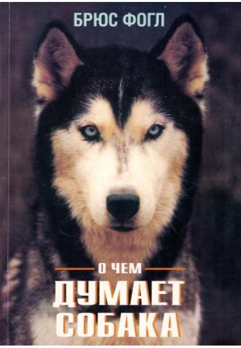 Book What is the dog thinking about?