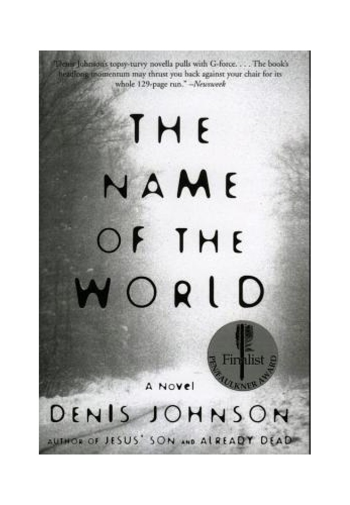 Book The Name of the World