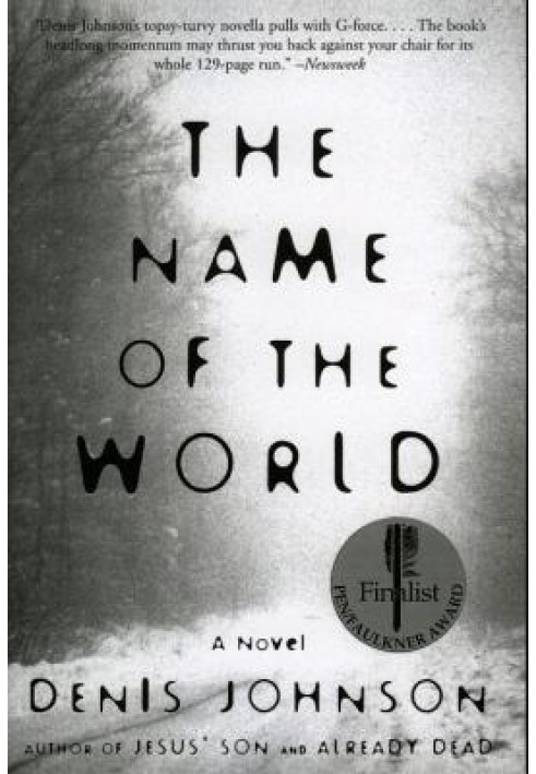 Book The Name of the World