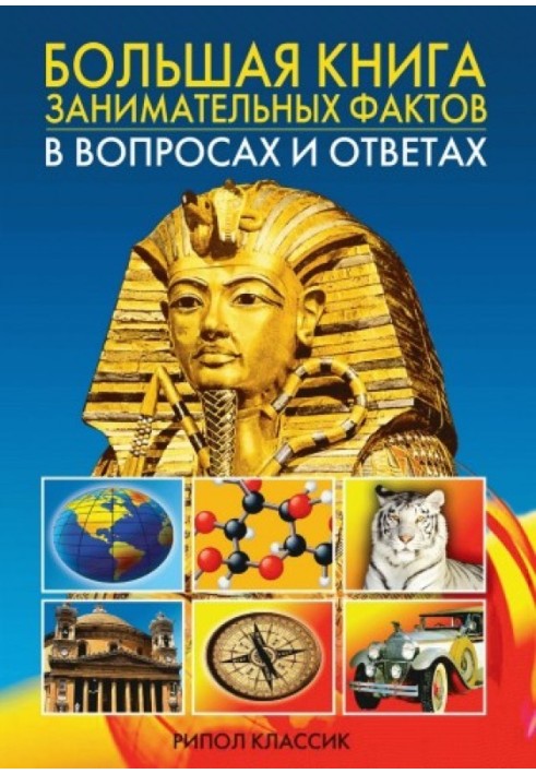 Book Big book of interesting facts with questions and answers