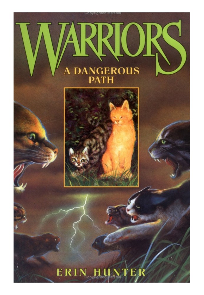 Book A Dangerous Path