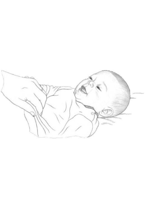 Book My little one. From birth to 5 years