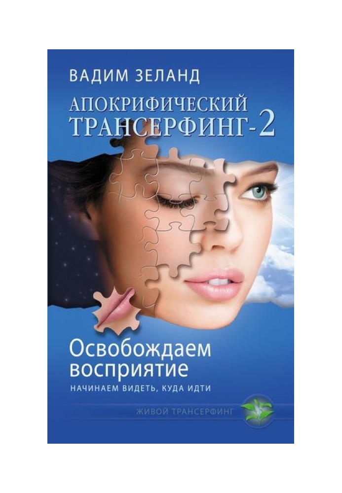 Book Freeing up perception: starting to see where to go