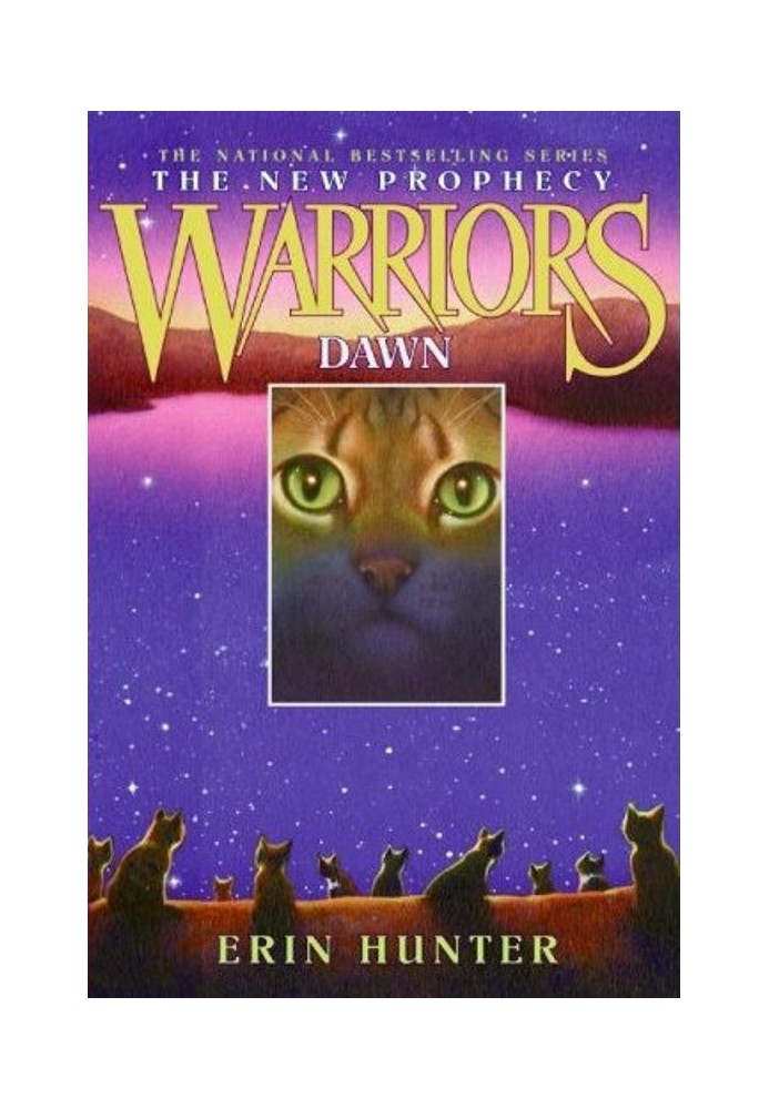 Book Dawn